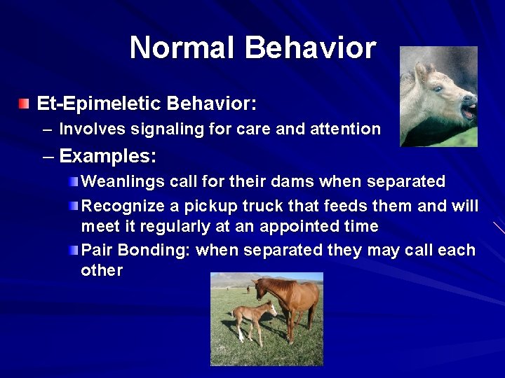 Normal Behavior Et-Epimeletic Behavior: – Involves signaling for care and attention – Examples: Weanlings
