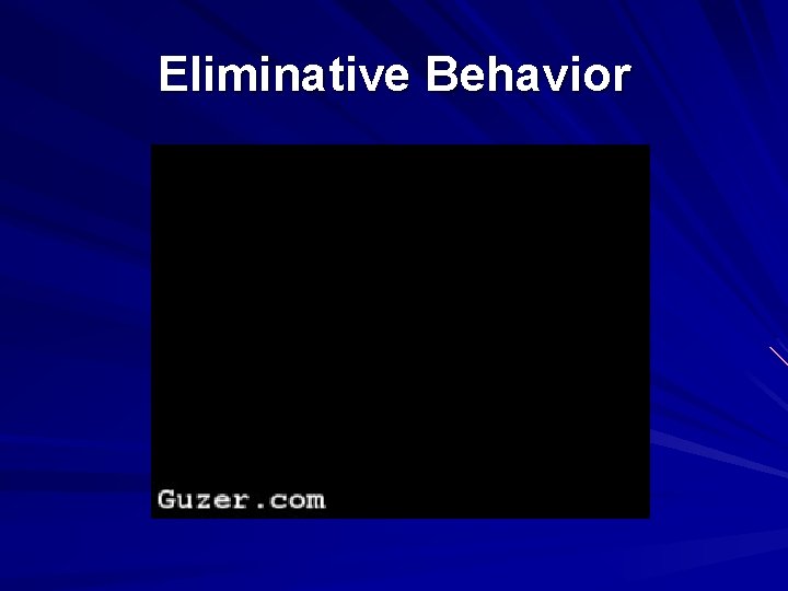 Eliminative Behavior 