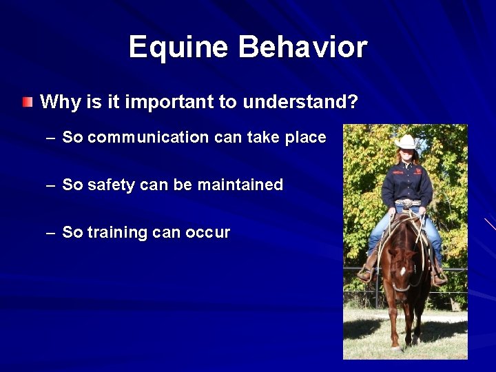 Equine Behavior Why is it important to understand? – So communication can take place