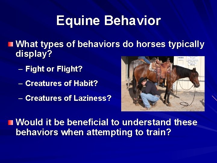 Equine Behavior What types of behaviors do horses typically display? – Fight or Flight?