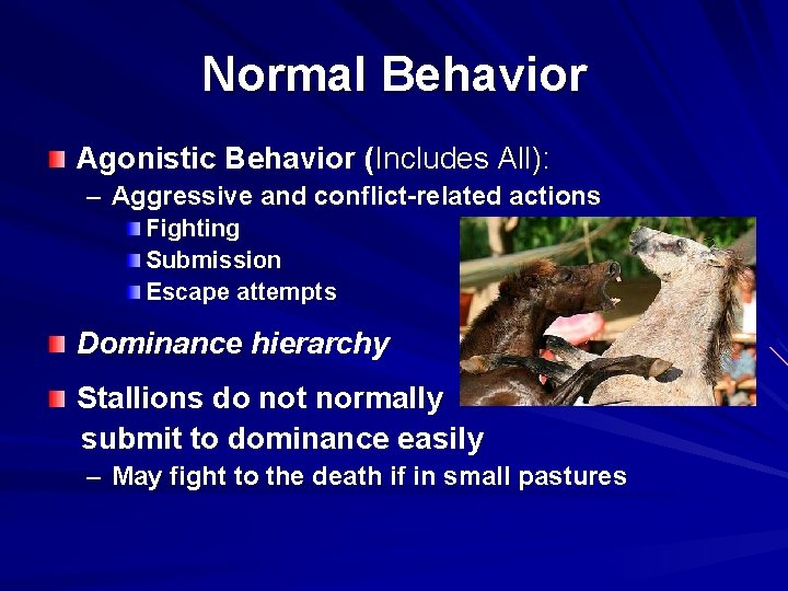 Normal Behavior Agonistic Behavior (Includes All): – Aggressive and conflict-related actions Fighting Submission Escape