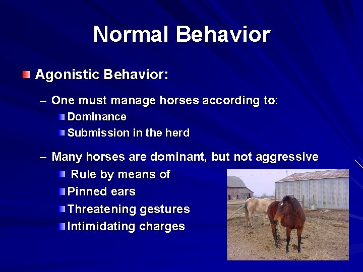 Normal Behavior Agonistic Behavior: – One must manage horses according to: Dominance Submission in