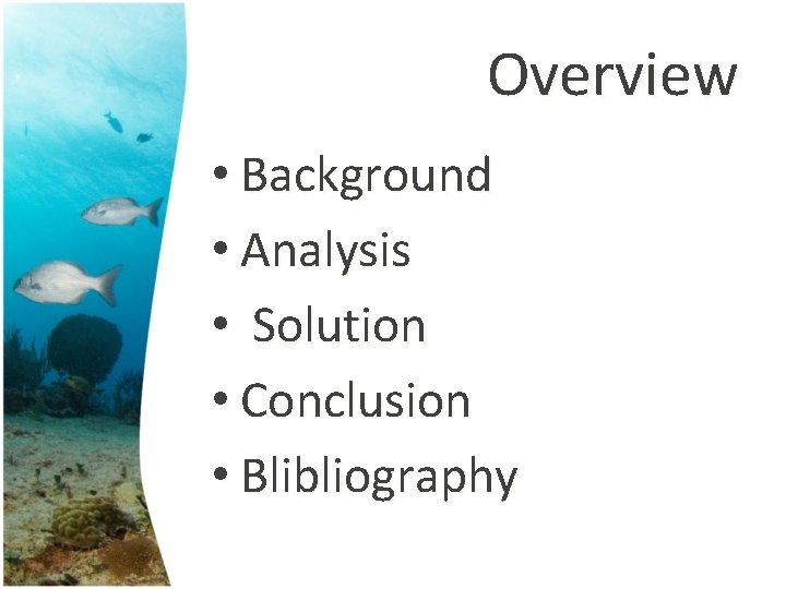 Overview • Background • Analysis • Solution • Conclusion • Blibliography 