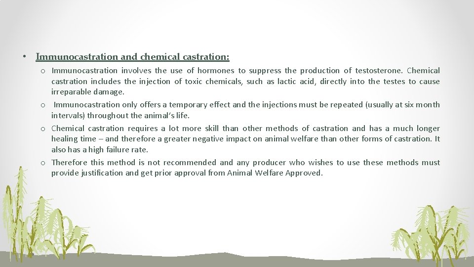  • Immunocastration and chemical castration: o Immunocastration involves the use of hormones to