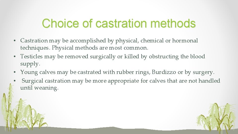 Choice of castration methods • Castration may be accomplished by physical, chemical or hormonal