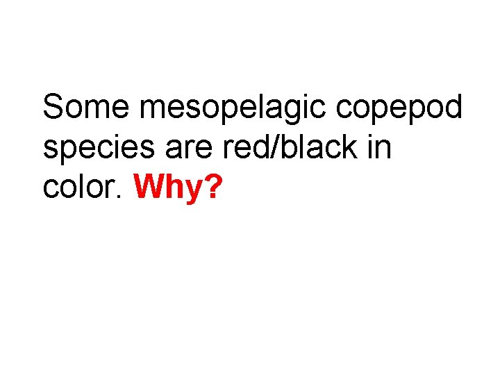 Some mesopelagic copepod species are red/black in color. Why? 