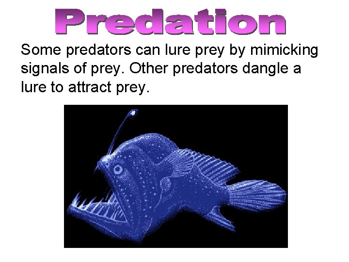 Some predators can lure prey by mimicking signals of prey. Other predators dangle a