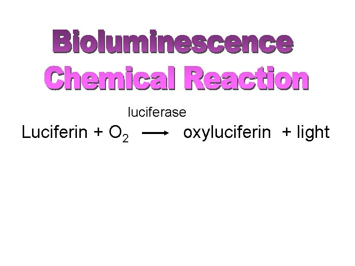 luciferase Luciferin + O 2 oxyluciferin + light 