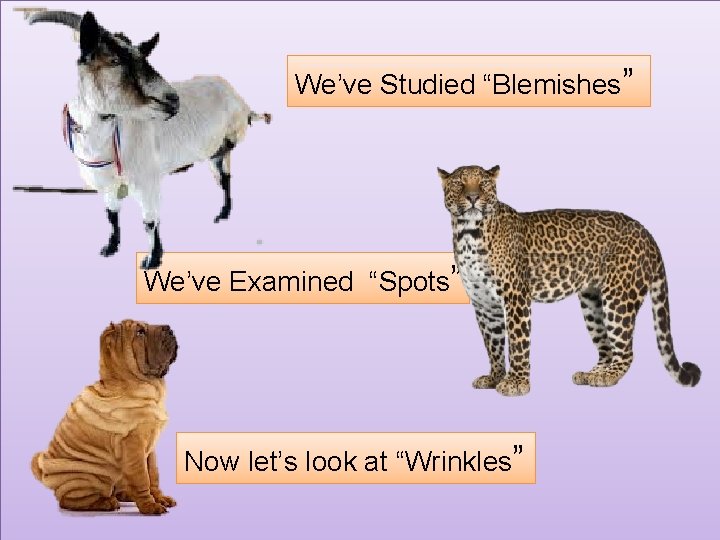 We’ve Studied “Blemishes” We’ve Examined “Spots” Now let’s look at “Wrinkles” 