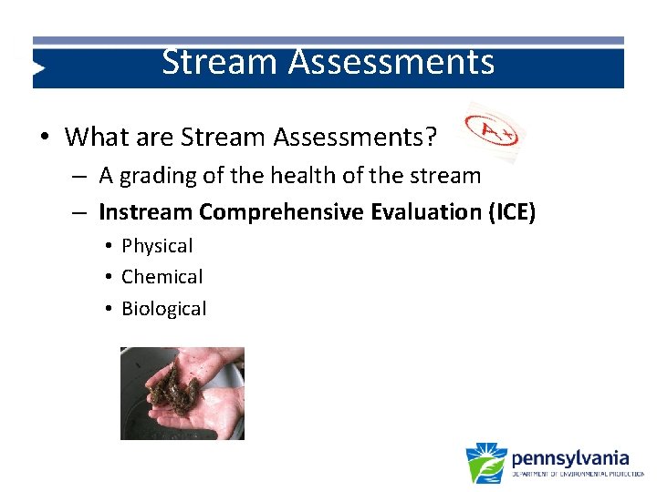 Stream Assessments • What are Stream Assessments? – A grading of the health of