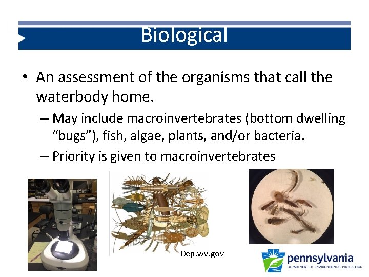 Biological • An assessment of the organisms that call the waterbody home. – May