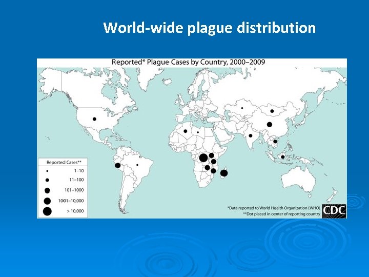 World-wide plague distribution 
