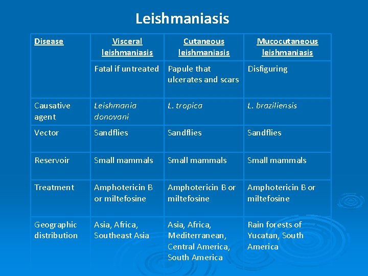 Leishmaniasis Disease Visceral leishmaniasis Cutaneous leishmaniasis Mucocutaneous leishmaniasis Fatal if untreated Papule that Disfiguring