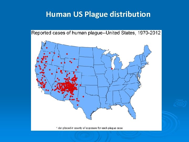Human US Plague distribution 