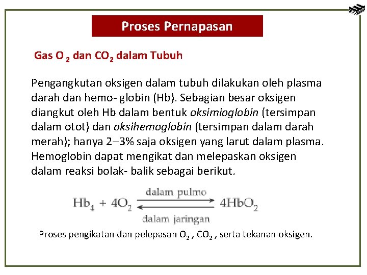 Proses Pernapasan Gas O 2 dan CO 2 dalam Tubuh Pengangkutan oksigen dalam tubuh