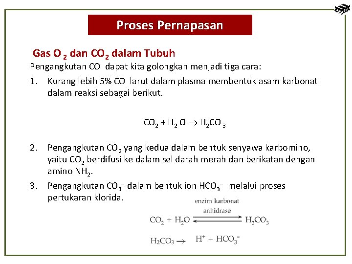 Proses Pernapasan Gas O 2 dan CO 2 dalam Tubuh Pengangkutan CO dapat kita