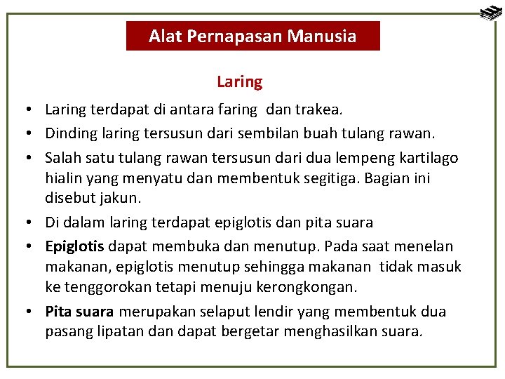 Alat Pernapasan Manusia Laring • Laring terdapat di antara faring dan trakea. • Dinding
