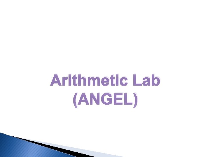 Arithmetic Lab (ANGEL) Arithmetic Lab (ANGEL)