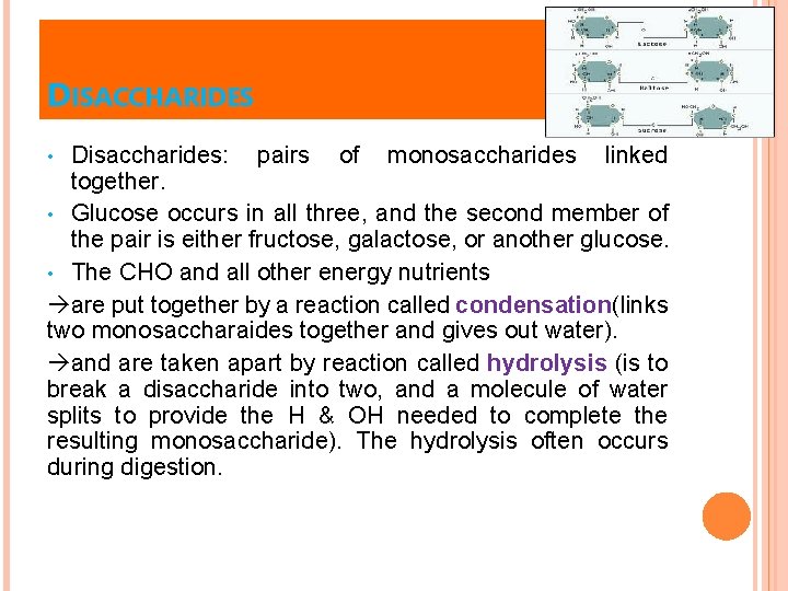 DISACCHARIDES Disaccharides: pairs of monosaccharides linked together. • Glucose occurs in all three, and