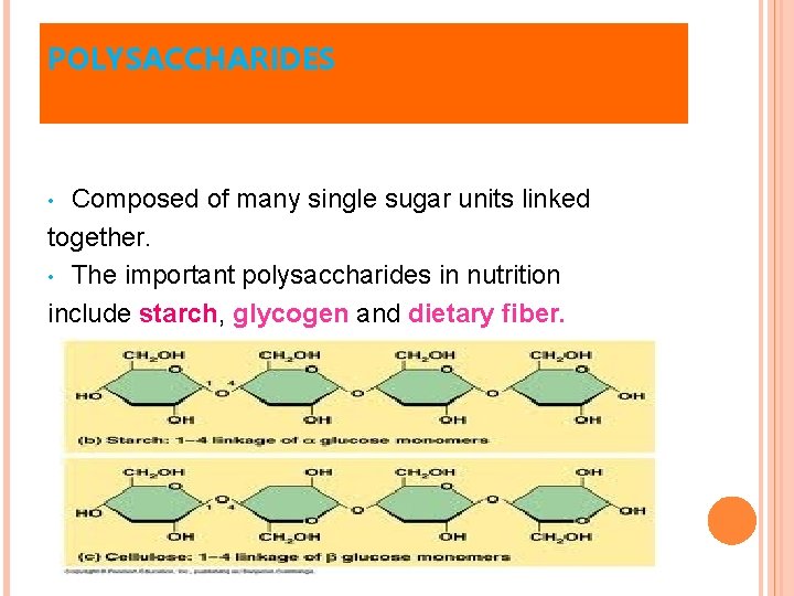 POLYSACCHARIDES Composed of many single sugar units linked together. • The important polysaccharides in