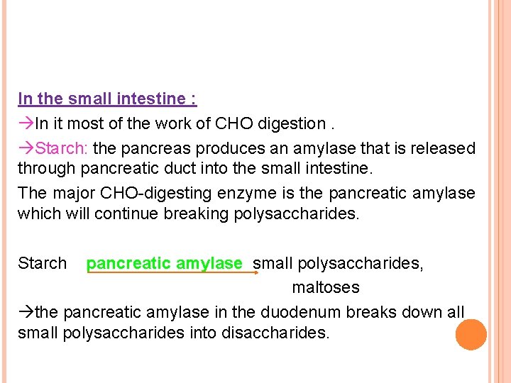 In the small intestine : In it most of the work of CHO digestion.