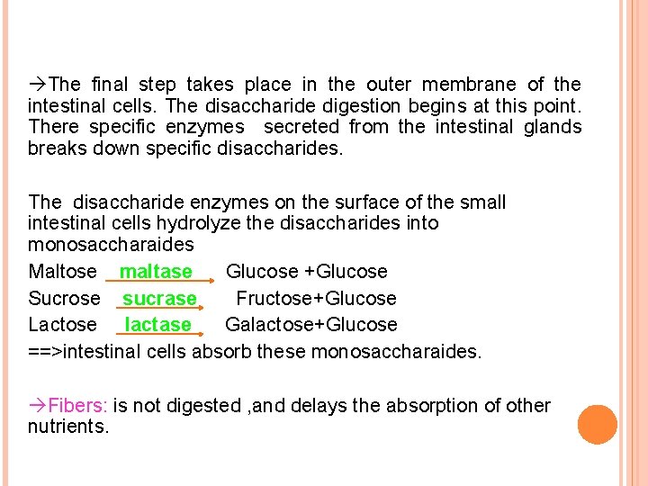  The final step takes place in the outer membrane of the intestinal cells.