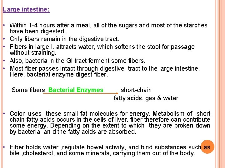 Large intestine: • Within 1 -4 hours after a meal, all of the sugars