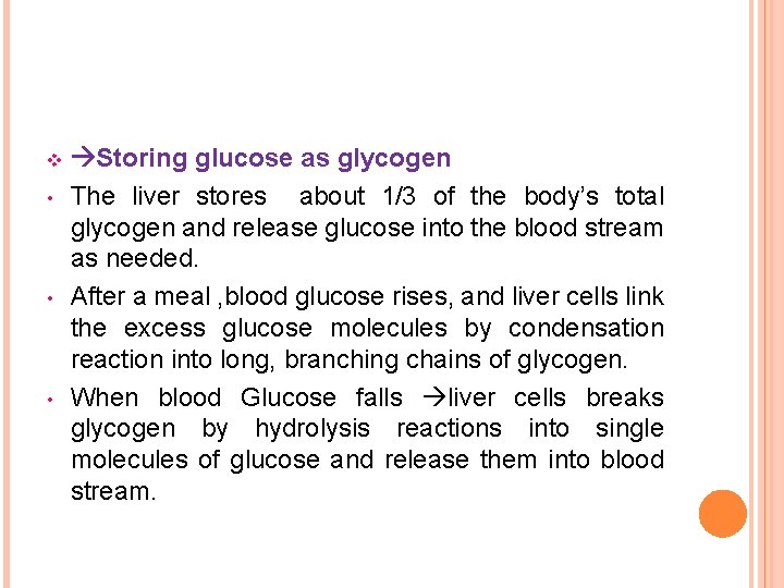 v • • • Storing glucose as glycogen The liver stores about 1/3 of