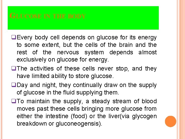 GLUCOSE IN THE BODY q. Every body cell depends on glucose for its energy