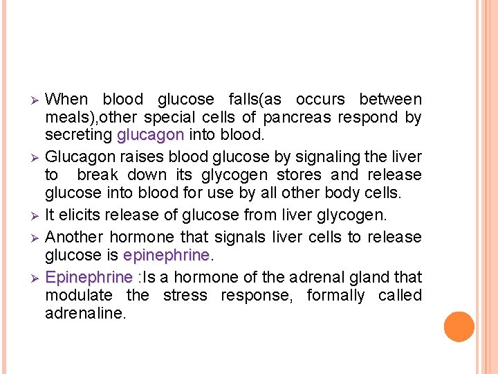 When blood glucose falls(as occurs between meals), other special cells of pancreas respond by