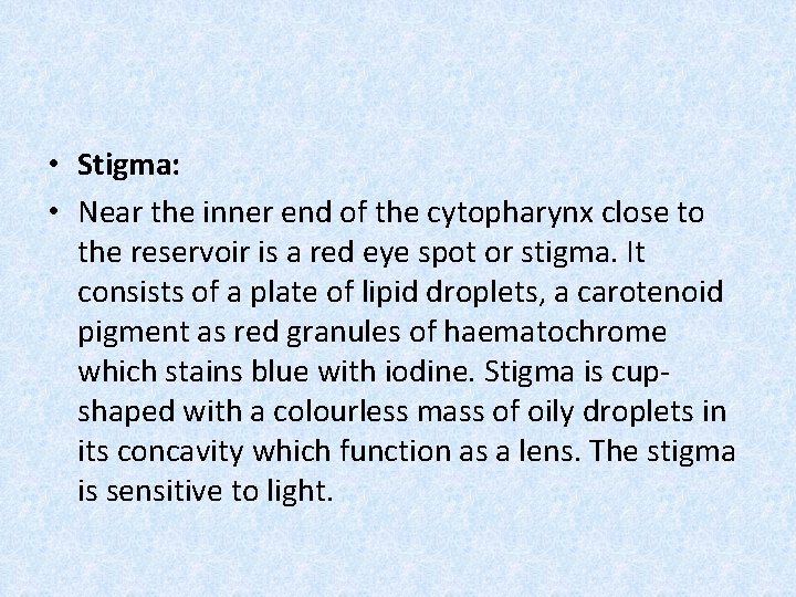 • Stigma: • Near the inner end of the cytopharynx close to the