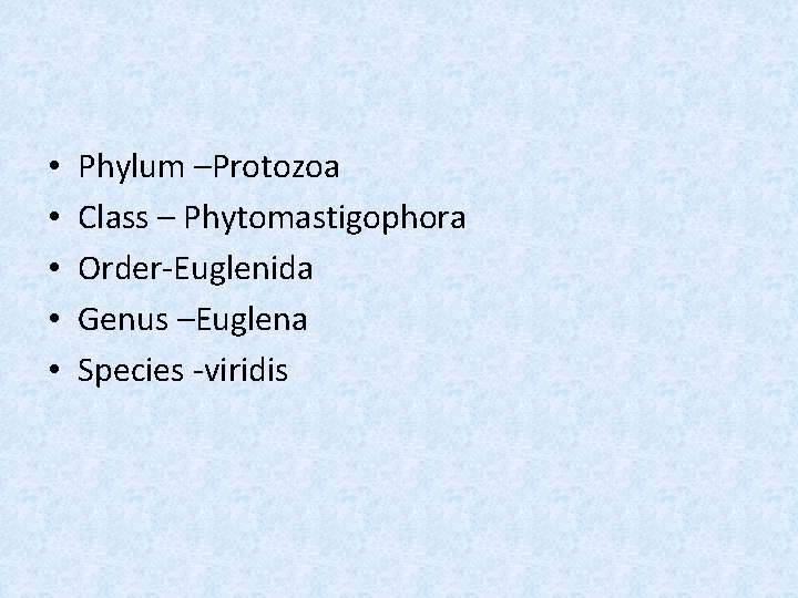  • • • Phylum –Protozoa Class – Phytomastigophora Order-Euglenida Genus –Euglena Species -viridis