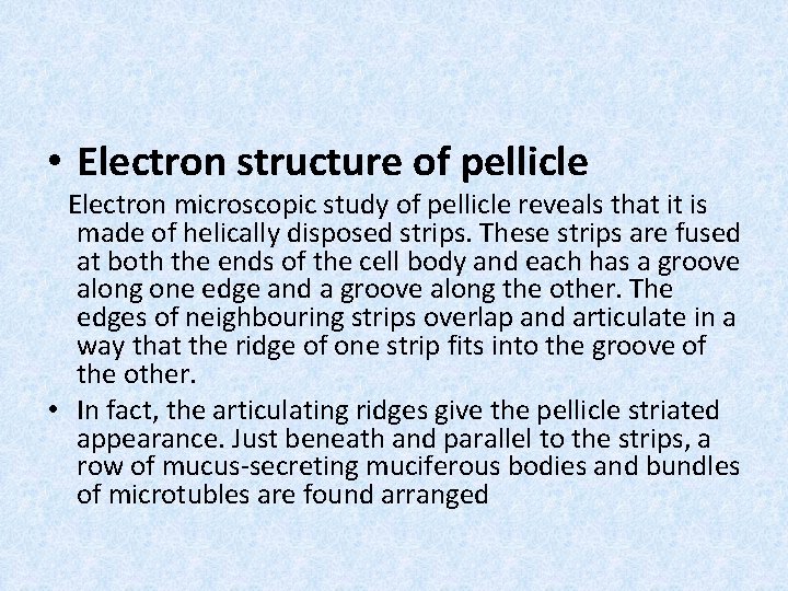  • Electron structure of pellicle Electron microscopic study of pellicle reveals that it