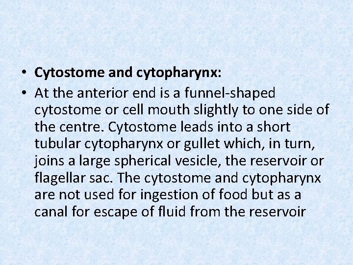  • Cytostome and cytopharynx: • At the anterior end is a funnel-shaped cytostome