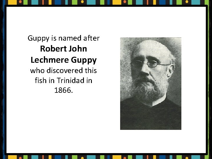 Guppy is named after Robert John Lechmere Guppy who discovered this fish in Trinidad