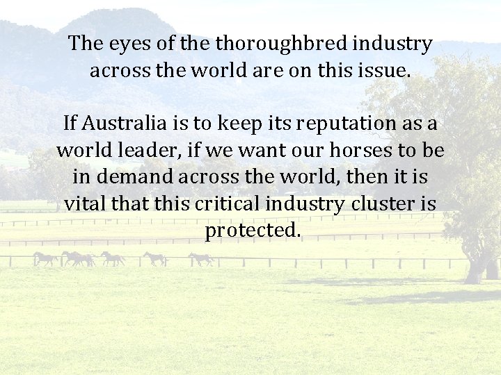 The eyes of the thoroughbred industry across the world are on this issue. If