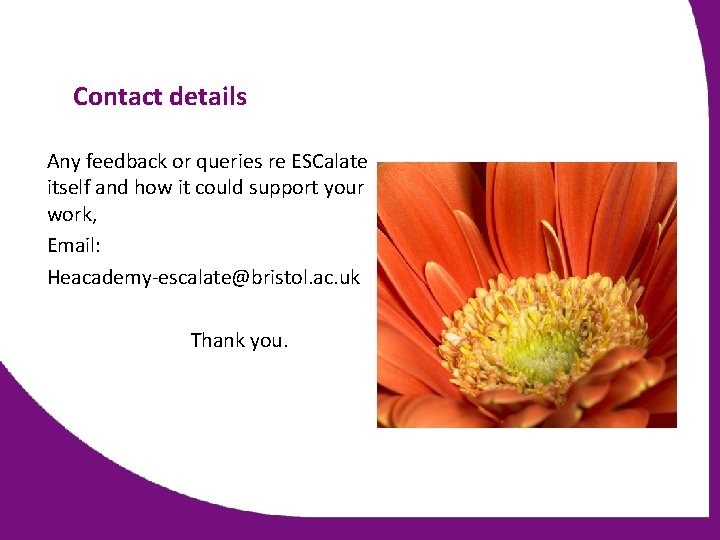Contact details Any feedback or queries re ESCalate itself and how it could support