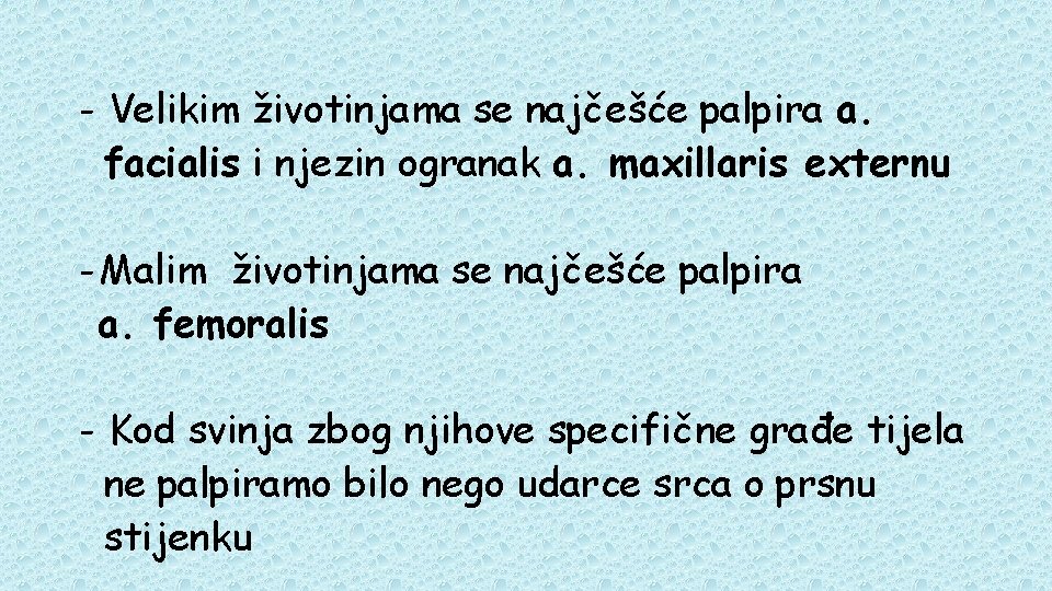 - Velikim životinjama se najčešće palpira a. facialis i njezin ogranak a. maxillaris externu