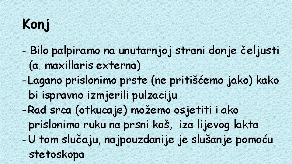 Konj - Bilo palpiramo na unutarnjoj strani donje čeljusti (a. maxillaris externa) - Lagano