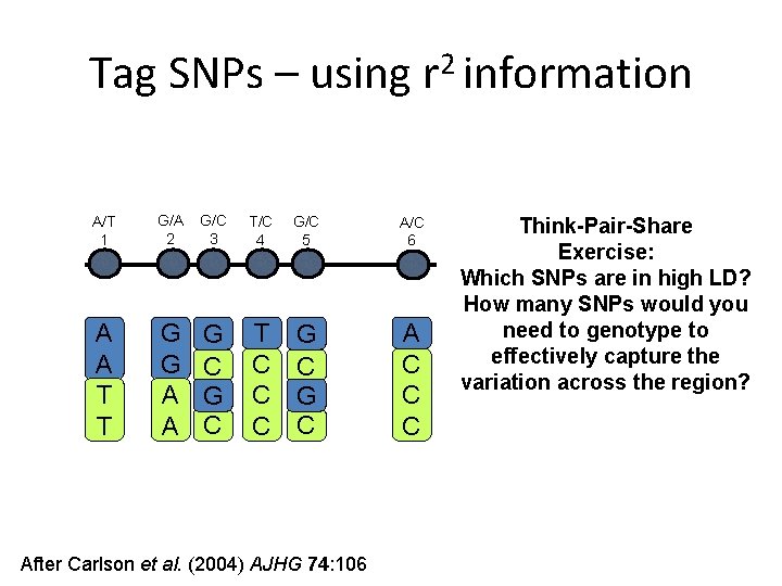 Tag SNPs – using r 2 information A/T 1 G/A 2 G/C 3 T/C