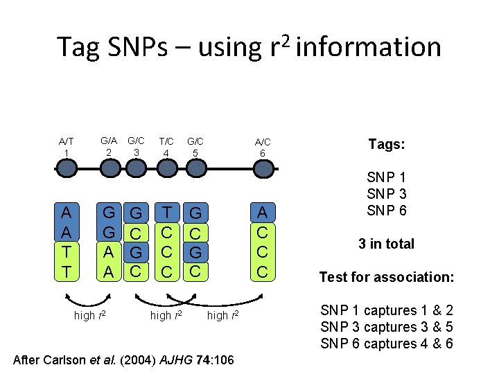 Tag SNPs – using r 2 information A/T 1 A A T T G/A