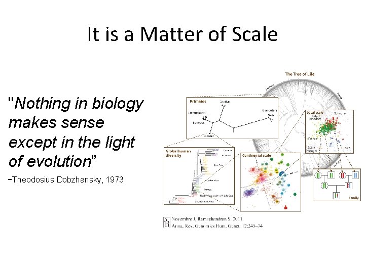 It is a Matter of Scale "Nothing in biology makes sense except in the