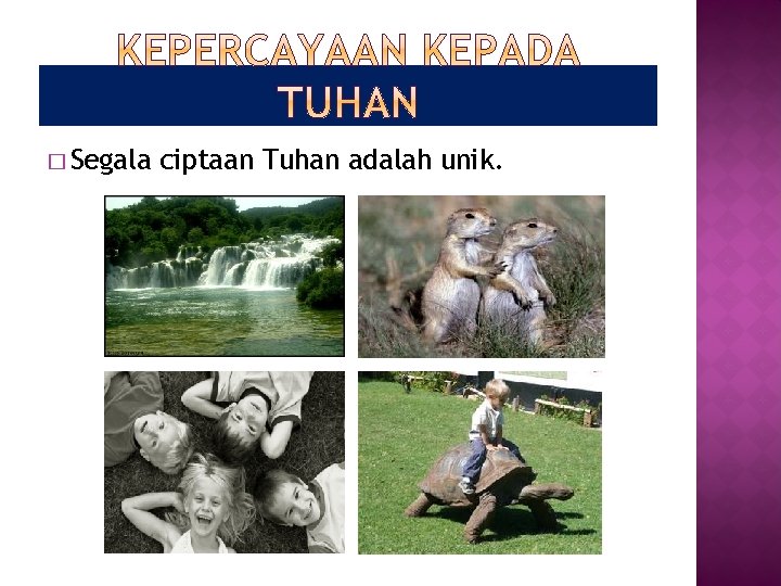 � Segala ciptaan Tuhan adalah unik. 