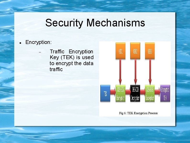 Security Mechanisms Encryption: Traffic Encryption Key (TEK) is used to encrypt the data traffic