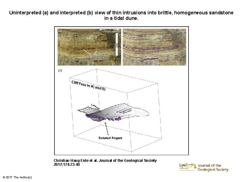 Uninterpreted (a) and interpreted (b) view of thin intrusions into brittle, homogeneous sandstone in