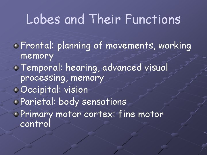 Lobes and Their Functions Frontal: planning of movements, working memory Temporal: hearing, advanced visual