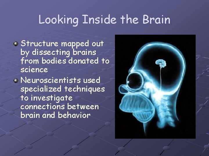 Looking Inside the Brain Structure mapped out by dissecting brains from bodies donated to
