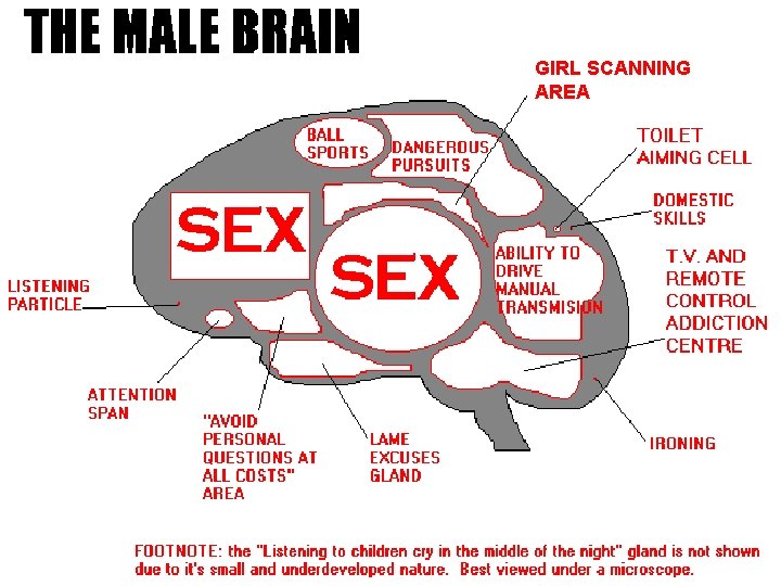 GIRL SCANNING AREA 