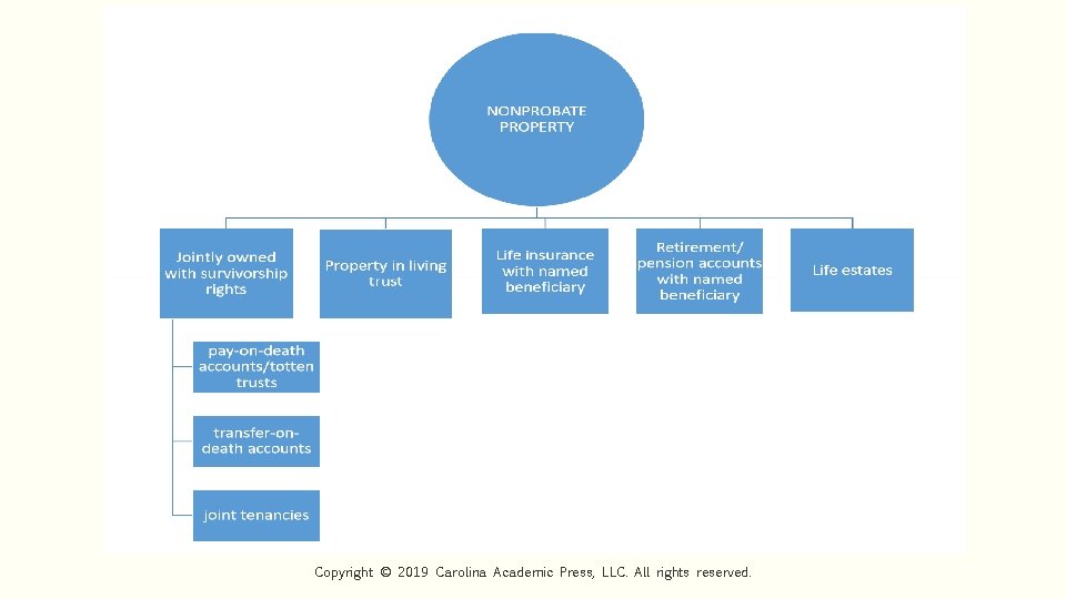 Copyright © 2019 Carolina Academic Press, LLC. All rights reserved. 