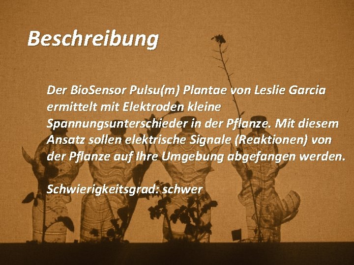 Beschreibung Der Bio. Sensor Pulsu(m) Plantae von Leslie Garcia ermittelt mit Elektroden kleine Spannungsunterschieder Beschreibung Der Bio. Sensor Pulsu(m) Plantae von Leslie Garcia ermittelt mit Elektroden kleine Spannungsunterschieder